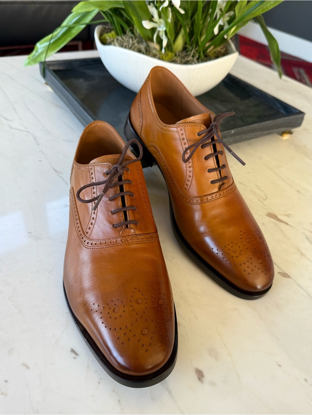 New Allen Edmonds Siena Medallion Oxford Dress Shoe Walnut Leather - Picture 10 of 15